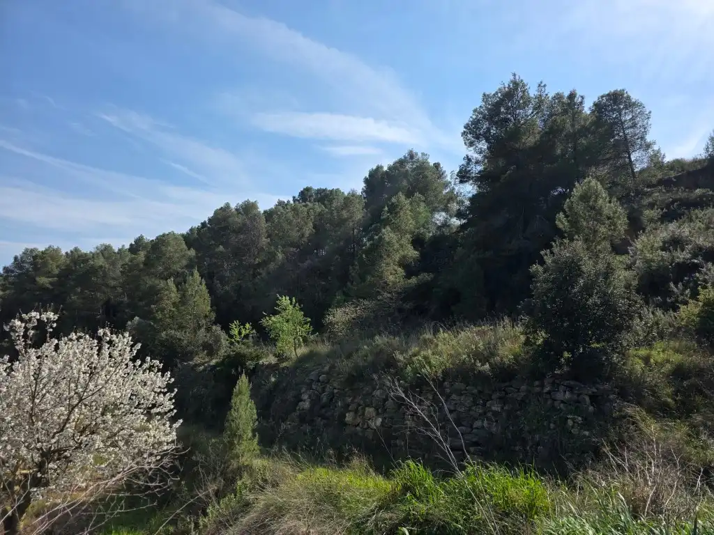 Terreno rustico in vendita a Carrer Soledat 2