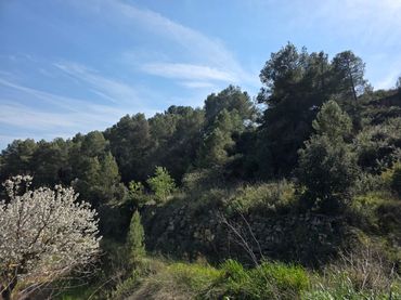 Rustikales Grundstück zum Verkauf in Carrer Soledat 2