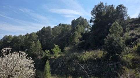 Finca amb aigua