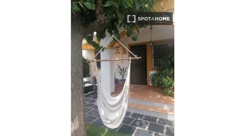 Foto 4 de Apartament per a compartir a Torre de la Horadada, Alicante