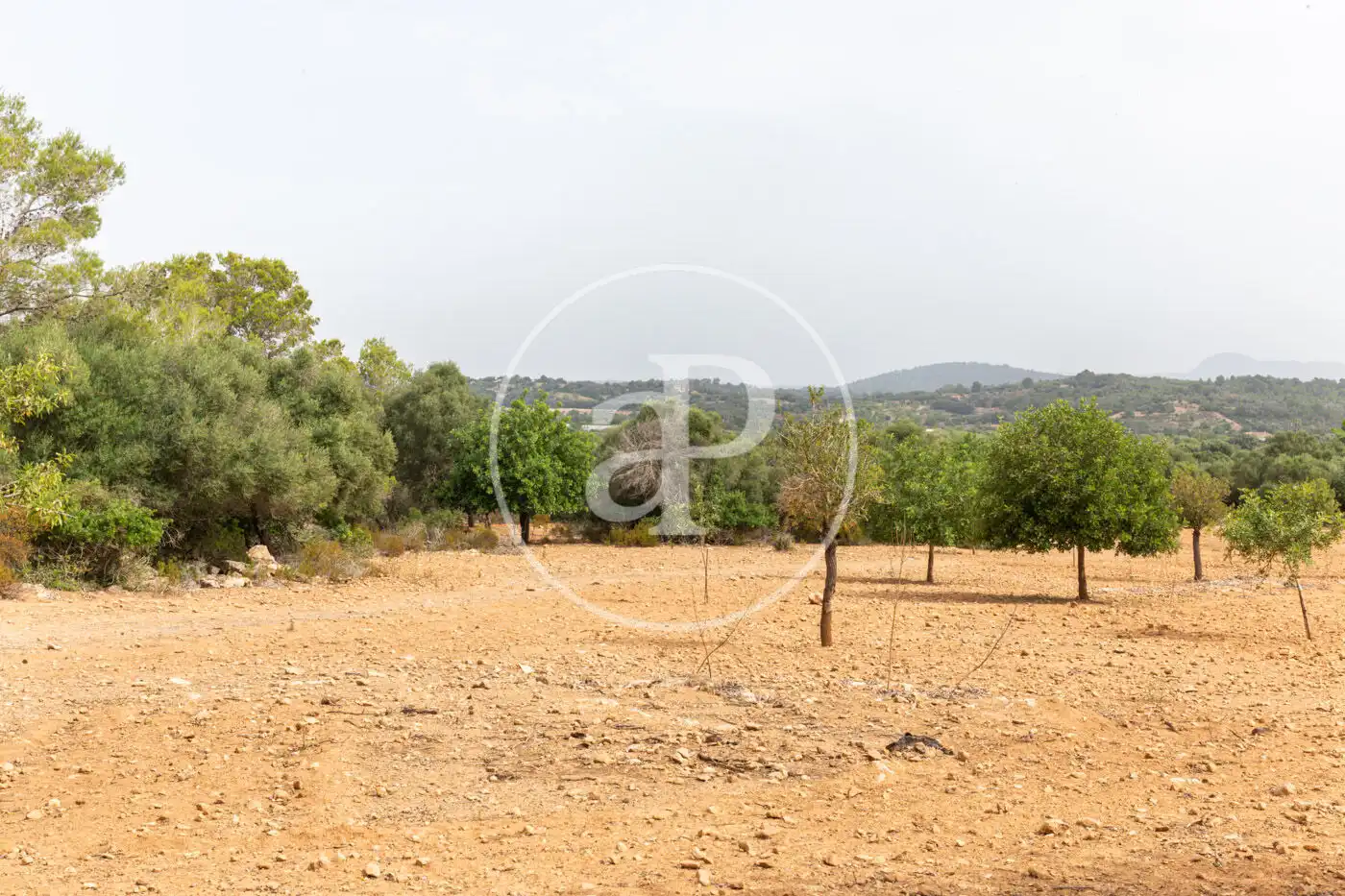 Terreno residenziale in vendita a Cami de.'s Presos, imagen 13