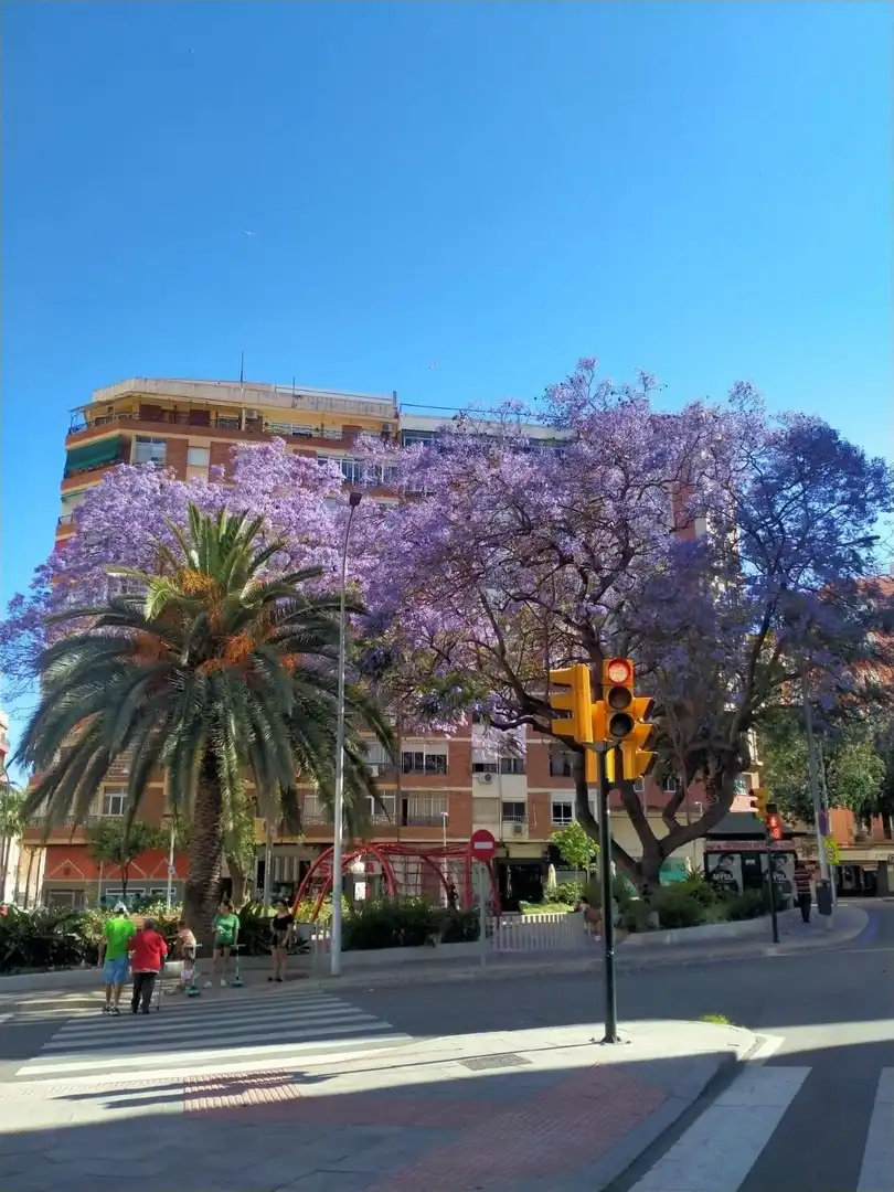 Vista exterior de Edificio en venta en Málaga