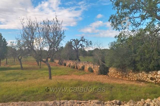 Terreno en Venta en S'Horta - Cas Concos des Cavaller - Es Carritxó