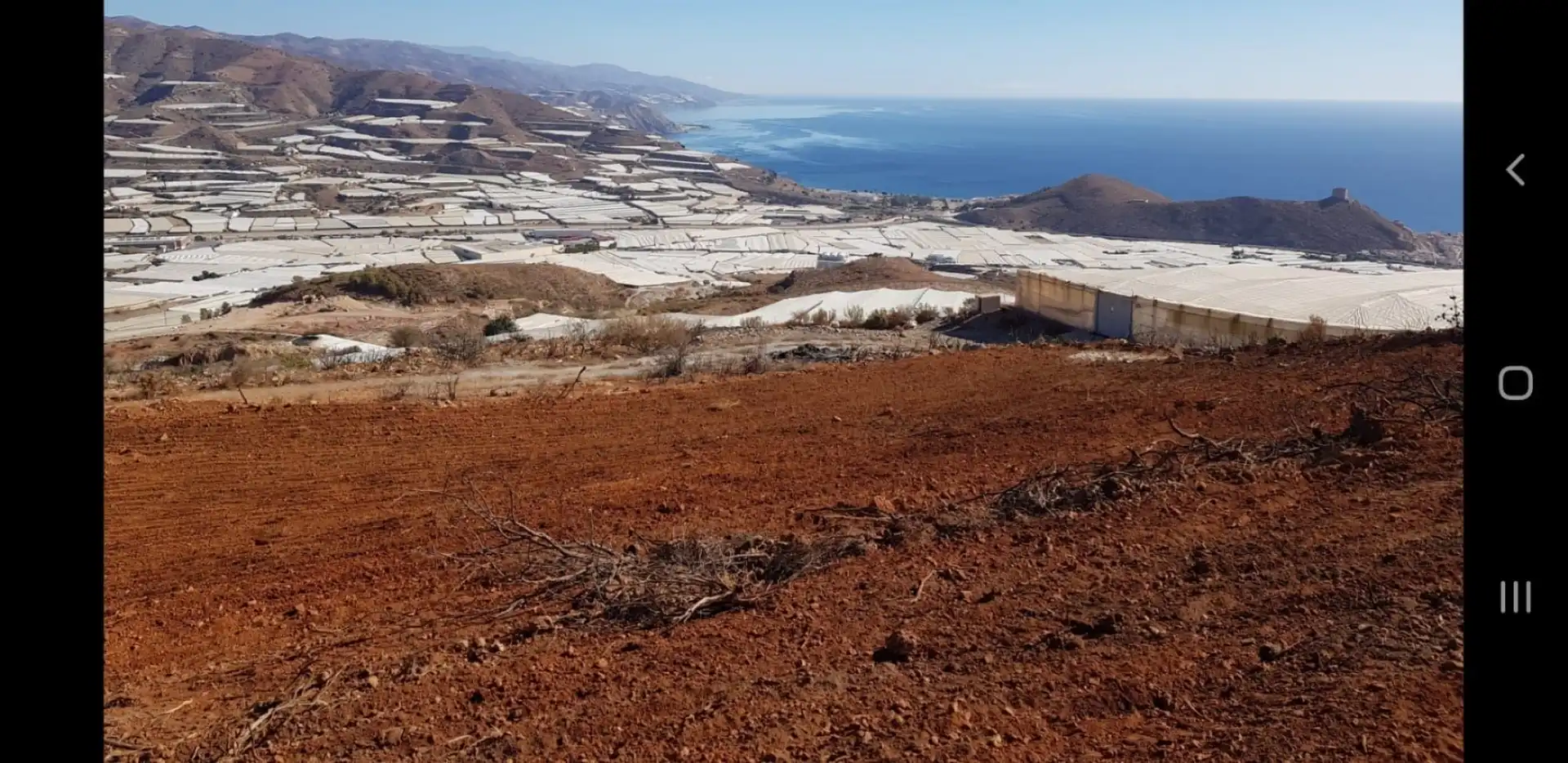 Rural land for sale in Motril  ciudad