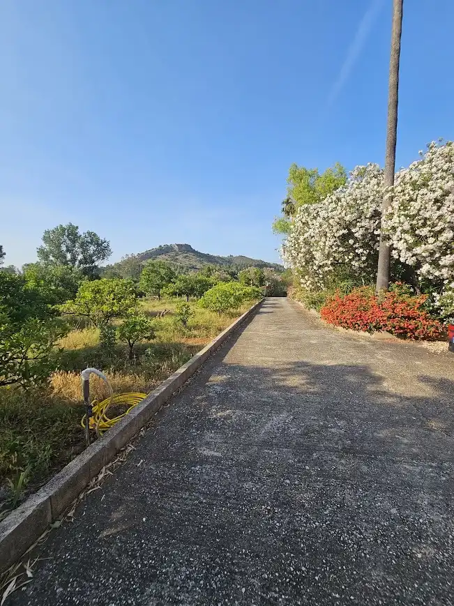 Casa rústica amb piscina en venda a Canals, imagen 36