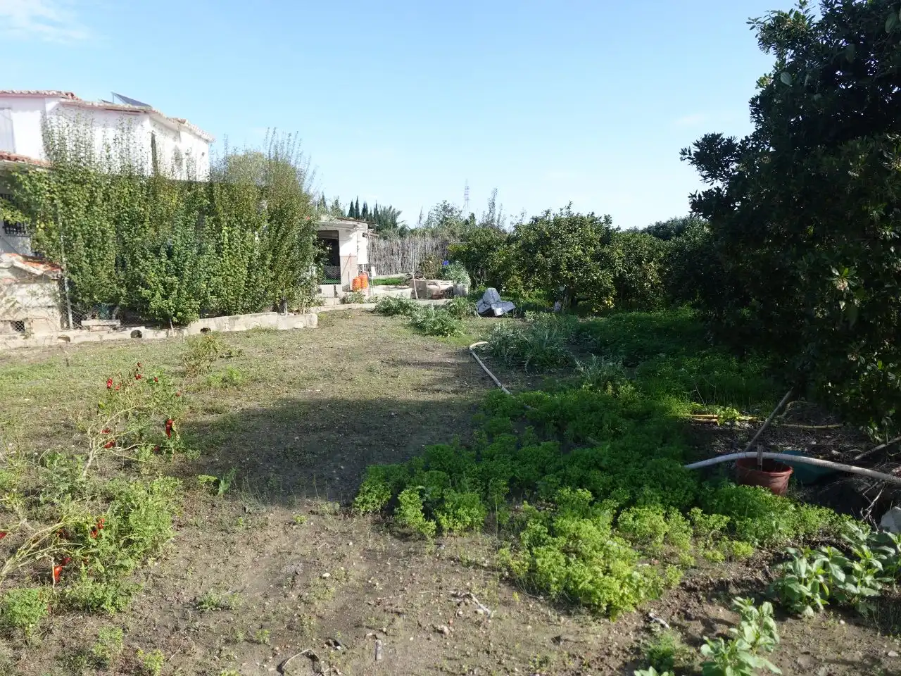 Casa con giardino in vendita a Cami Terra Nova 15, imagen 33