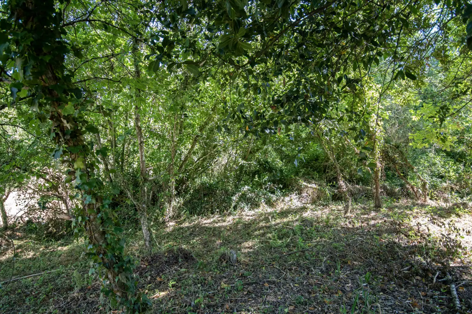 Terreno en venta en Villaviciosa