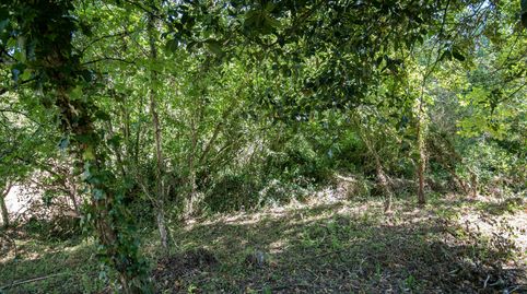 Foto 4 de Terreno en venta en Espina Selorio, Selorio - Tornón, Villaviciosa