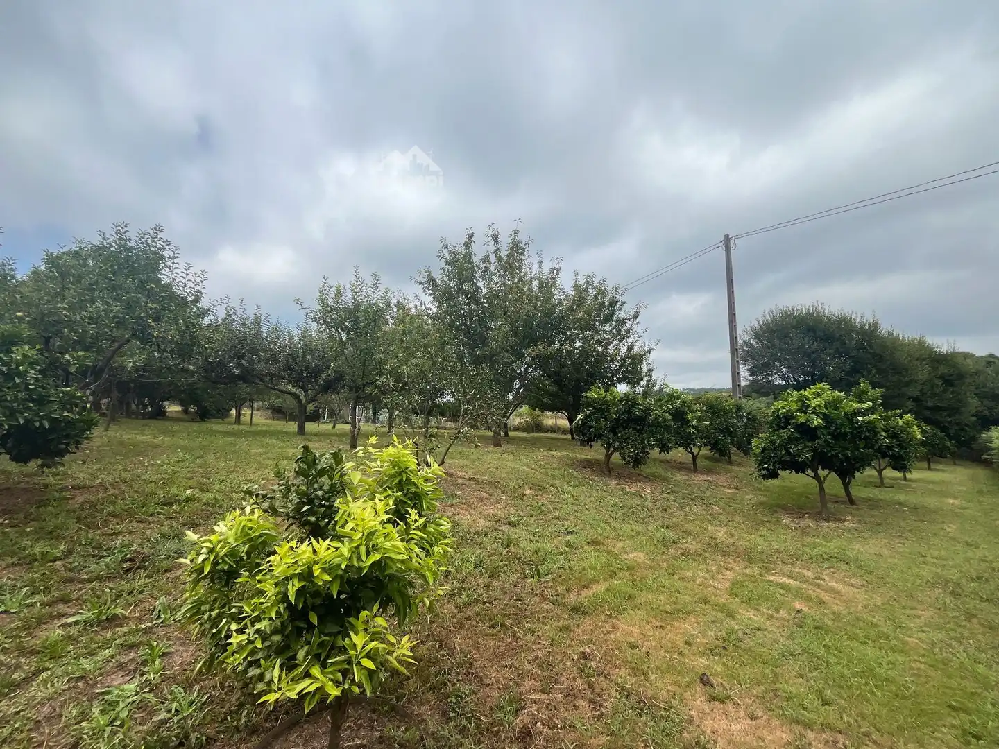 Rural land for sale in Covelo, imagen 18