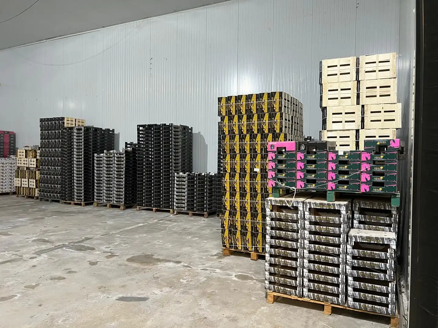 Fabrikhallen zur Miete in Elche / Elx