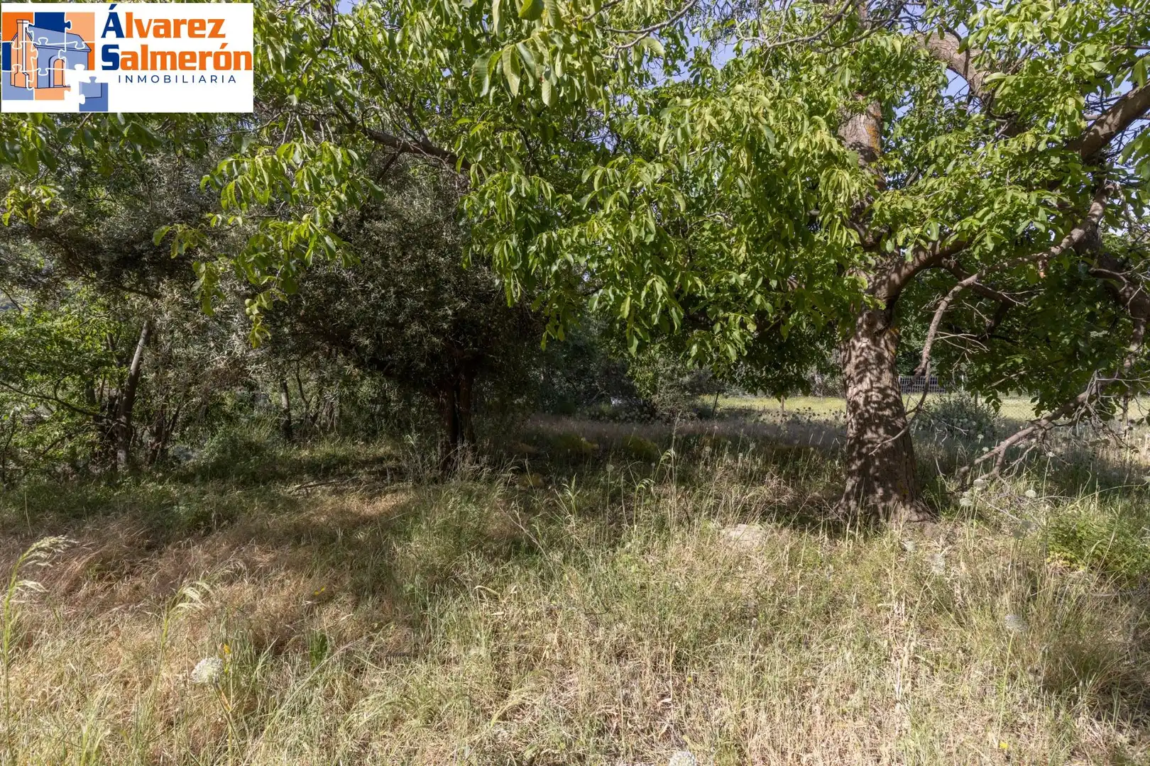 Lands and plots for sale in Carretera de Maitena, imagen 15