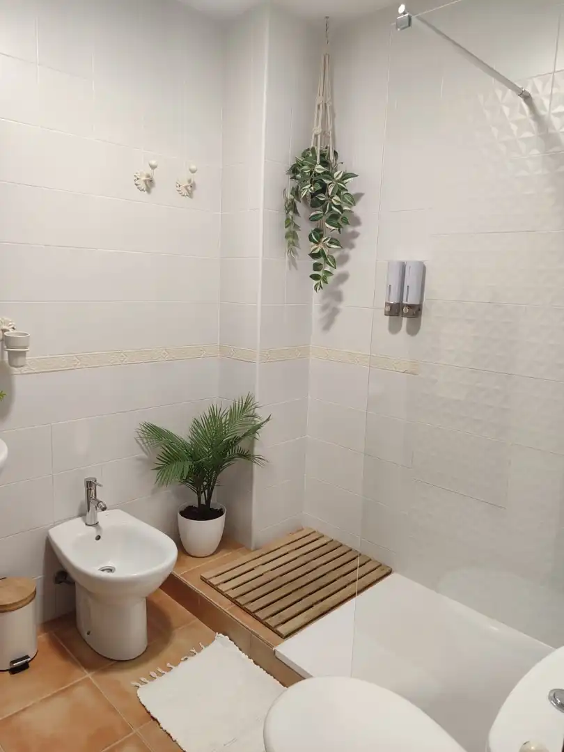 Bany de Apartament en venda en El Bosque amb Aire condicionat, Jardí privat i Moblat