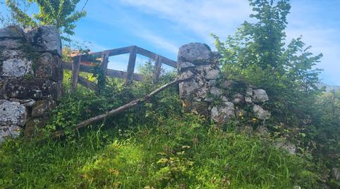 Foto 4 de Finca rústica en venda a Lugar Puertas, 2, Cabrales, Asturias