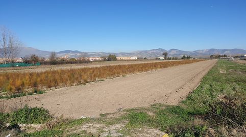 EXTENSA FINCA RUSTICA DE VENTA EN ROMILLA, immagine 2