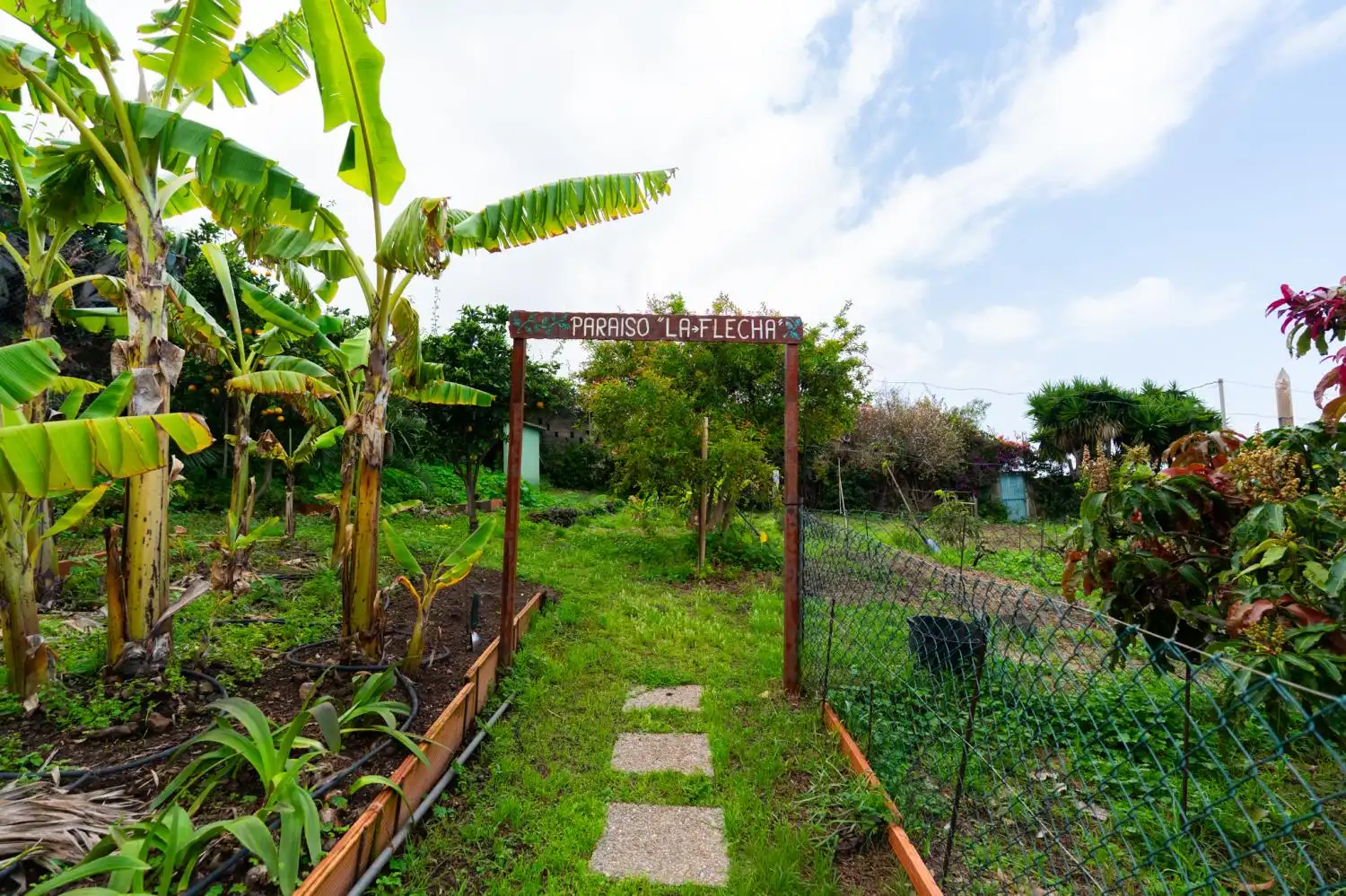 Jardí de Casa o xalet en venda en Santa Úrsula amb Traster