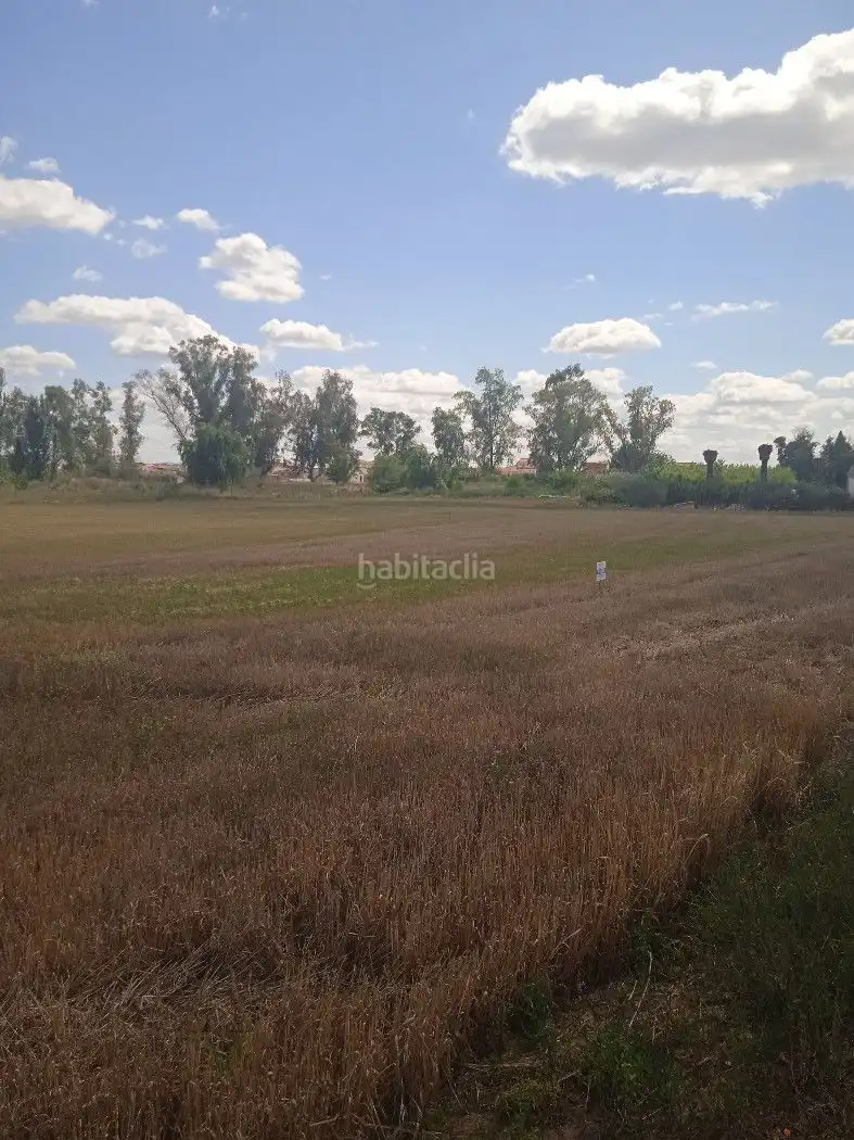 Terreno rustico in vendita a EX-105 9, imagen 5