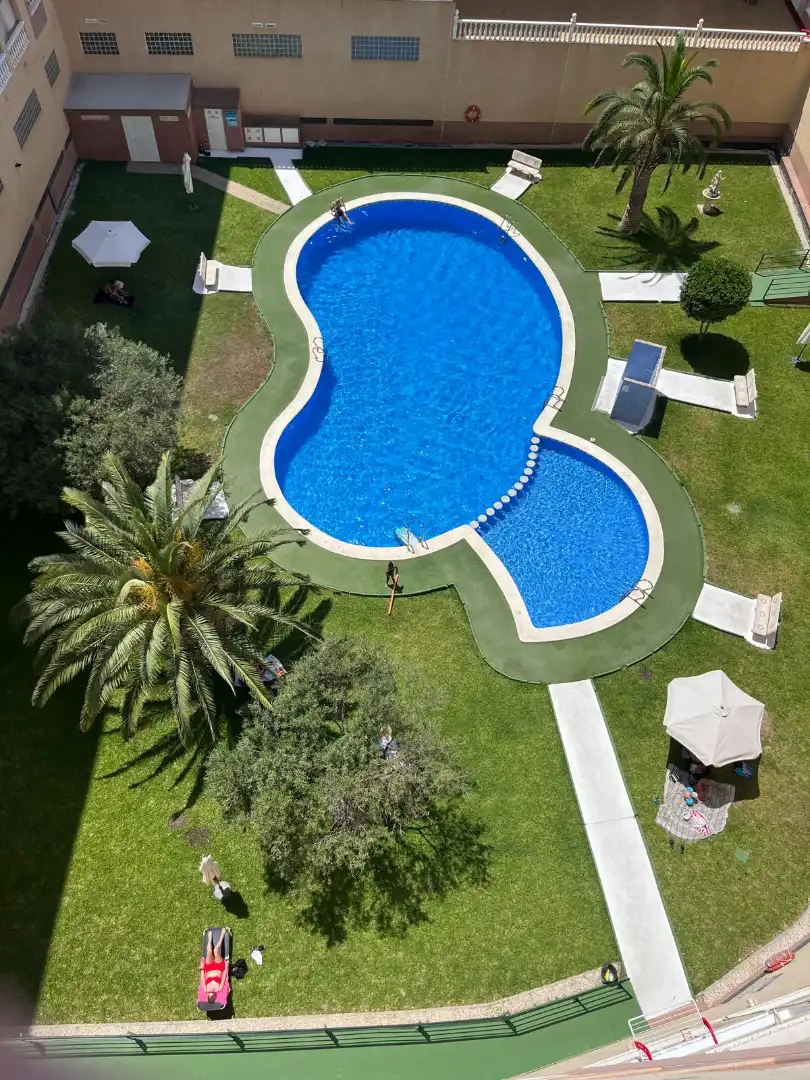 Piscina de Pis en venda en Torrevieja amb Aire condicionat, Terrassa i Moblat