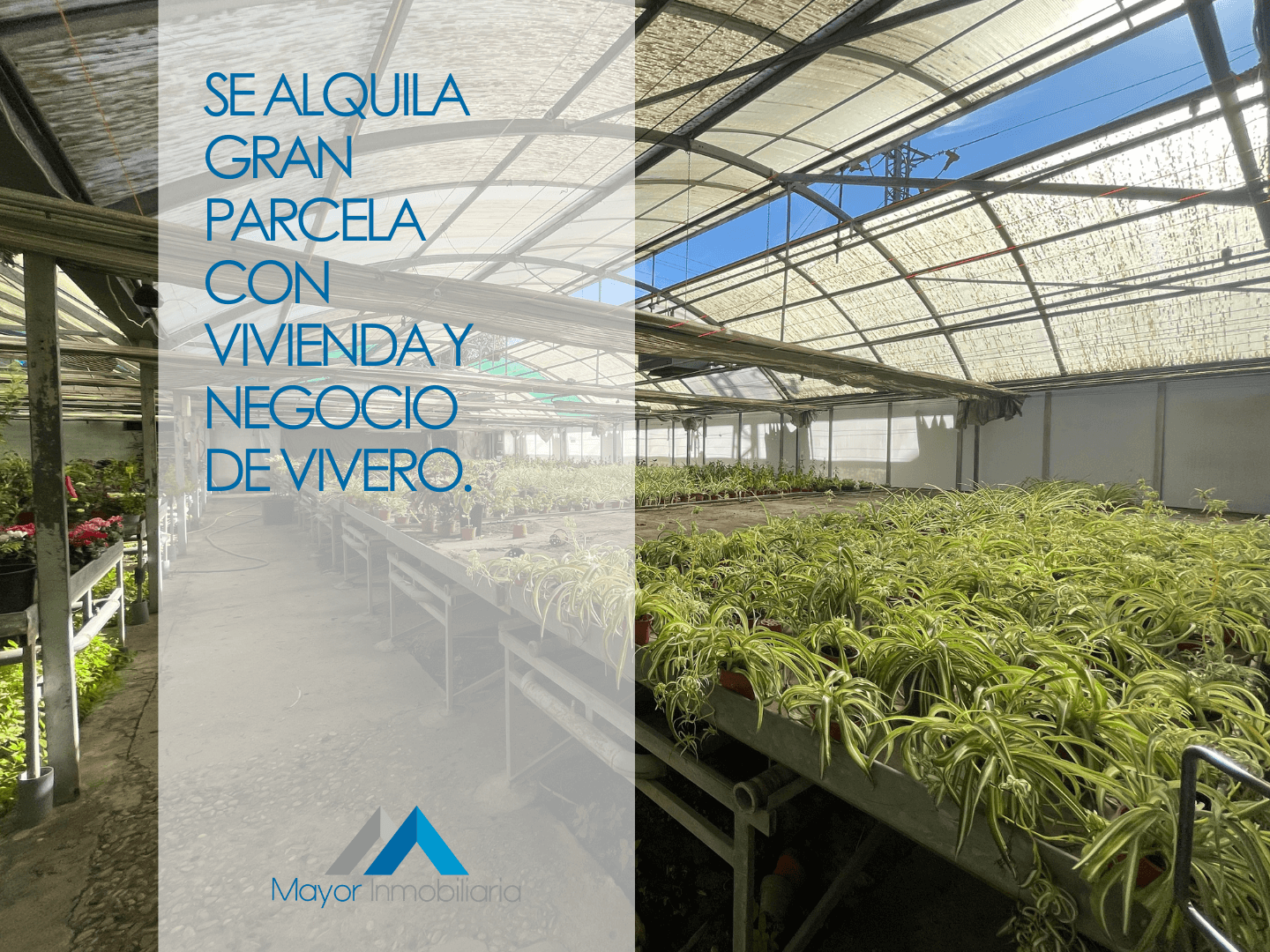 Grundstücke zur Miete in Avenida de Madrid, La Garena