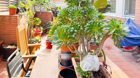 Photo 3 of Planta baja for sale in Carrer Foneria, La Marina del Port, Barcelona