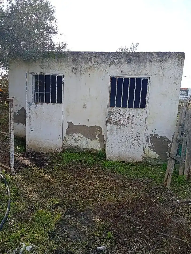Exterior view of Houses for sale in Lebrija  with Private garden, Storage room and Swimming Pool