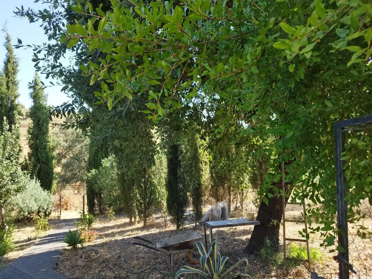 Detached house with garden for sale in El Castillo de las Guardas, imagen 2