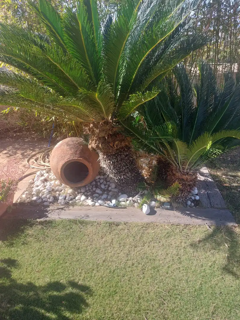Jardín de Casa o chalet en venta en Málaga con Aire acondicionado, Jardín privado y Piscina