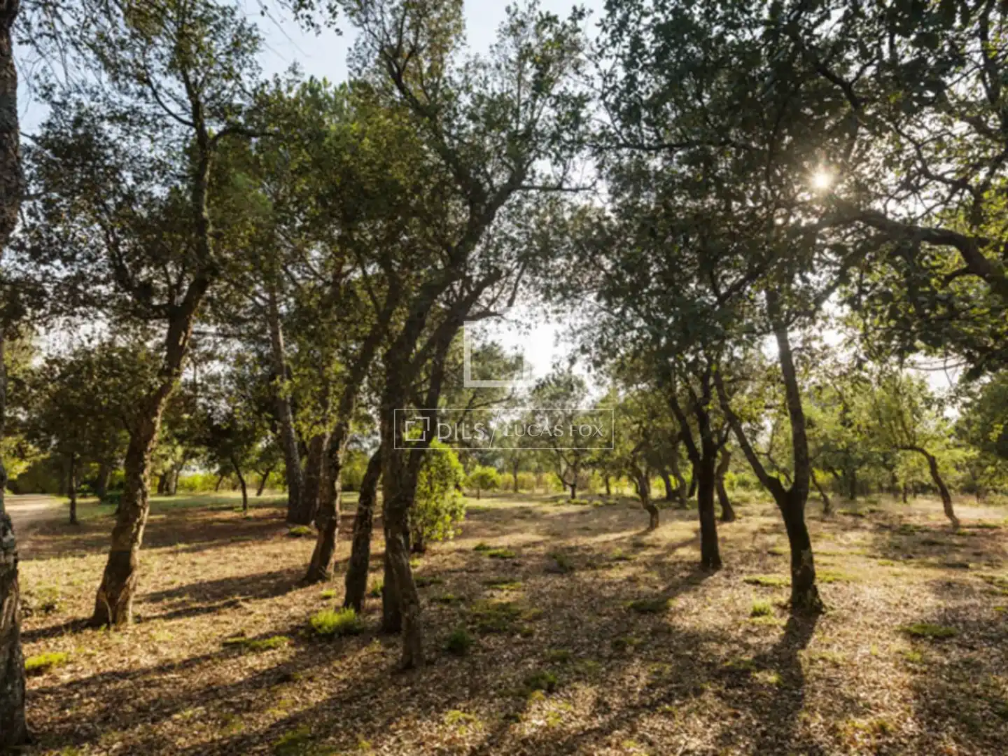 Casa rustica con piscina in vendita a Cassà de la Selva, imagen 42