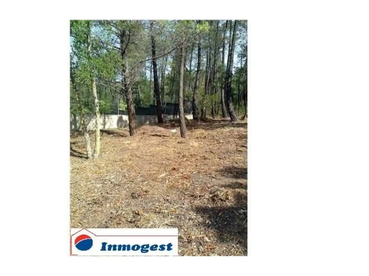 Terrain rustique à vendre à Urbanizacion MALAVELLA PARK, imagen 2