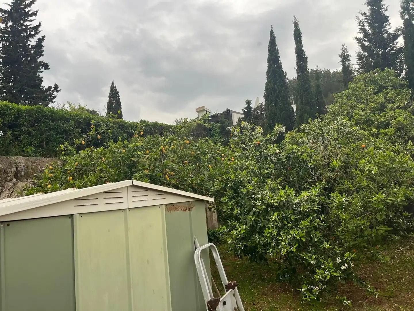 Chalet en venta en Cap Martí - El Tossalet - Pinomar, imagen 35
