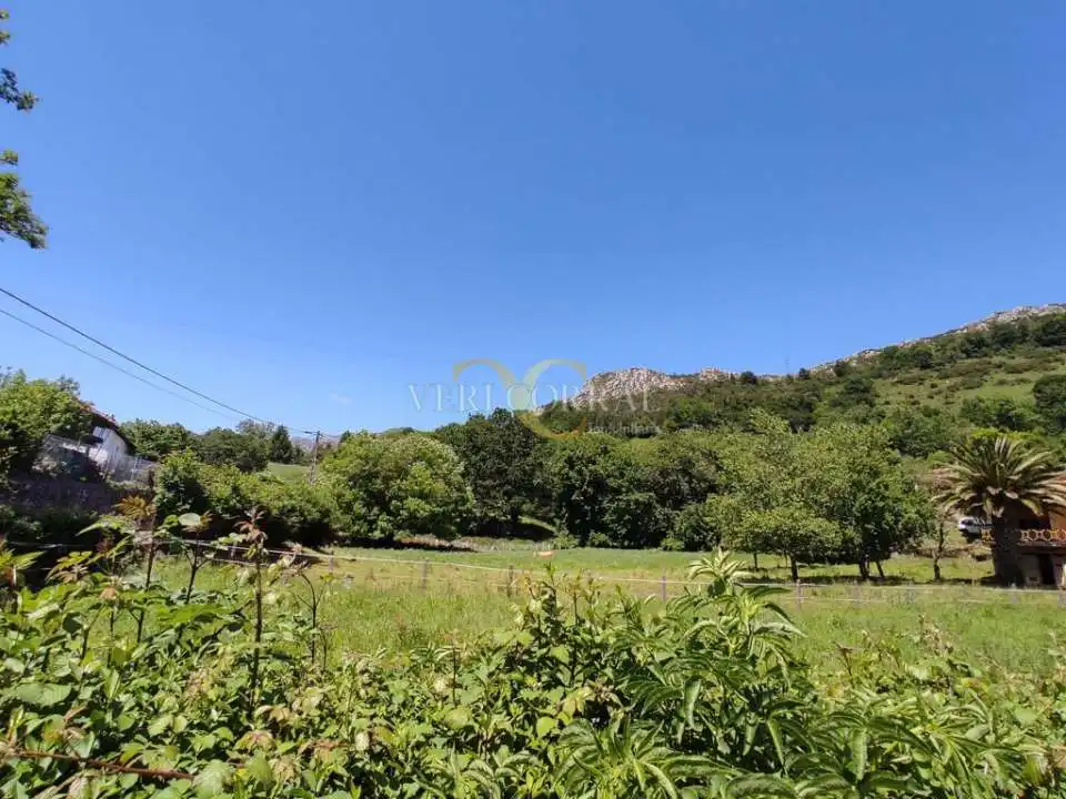 Terreno residencial en venta en Collía, imagen 3