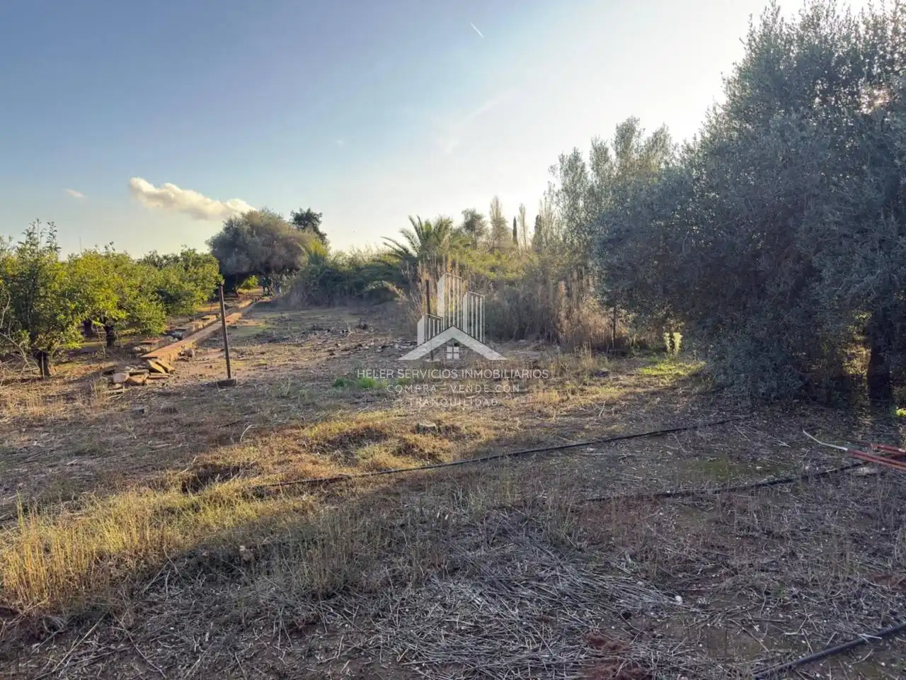 Terreny rústic en venda a Camino Brunella, imagen 31