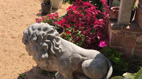 Foto 3 de Finca rústica en venta en Cabrils, Barcelona