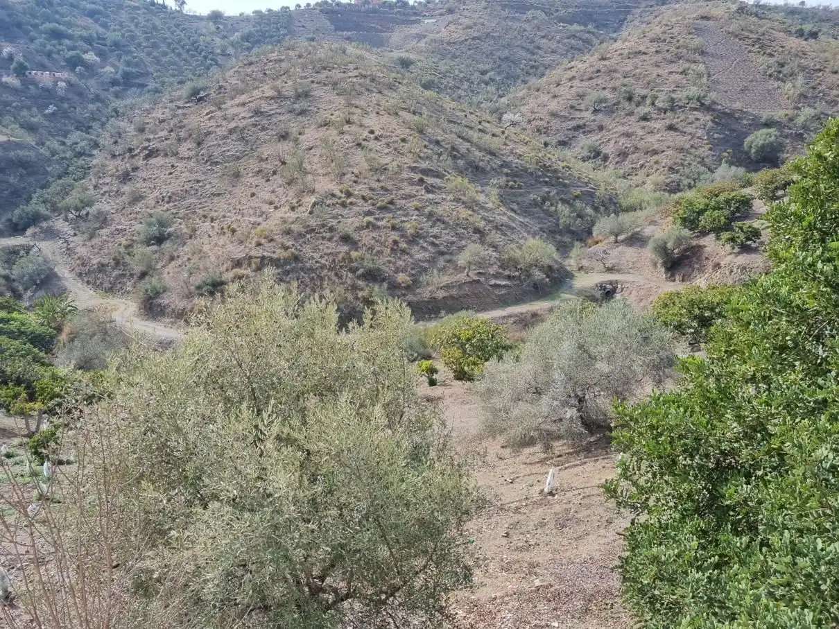 Casa rustica in vendita a Los Gómez., imagen 5