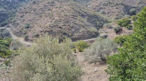 Foto 5 von Country house zum Verkauf in Los Gómez., Viñuela, Málaga