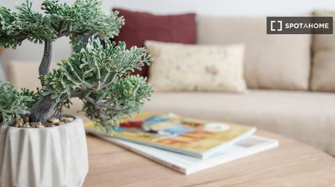 Photo 4 of Apartment to share in Ciudad Jardín, Madrid