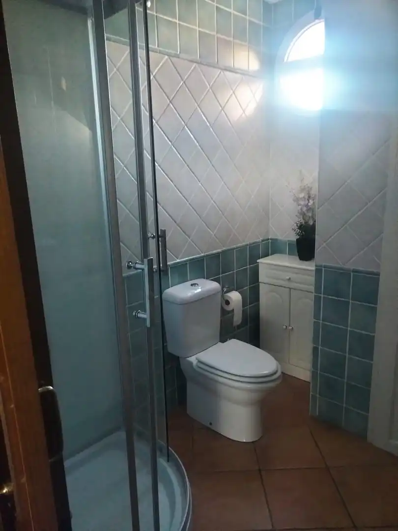 Baño de Casa o chalet en venta en Chiclana de la Frontera con Aire acondicionado, Jardín privado y Trastero