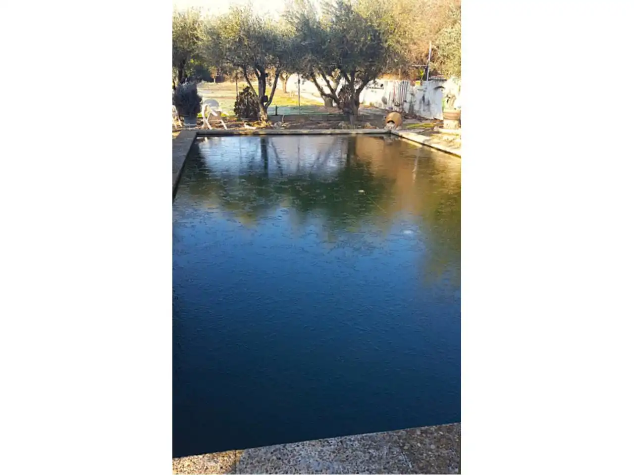 Swimming pool of Residential for sale in Baldellou