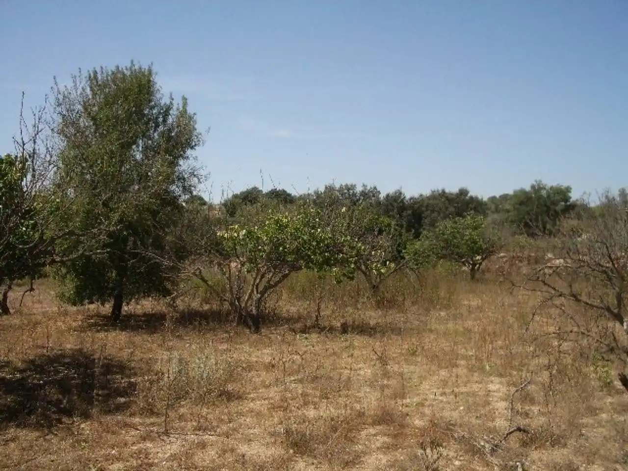 Terreno residencial en venta en Casa Marau, imagen 4