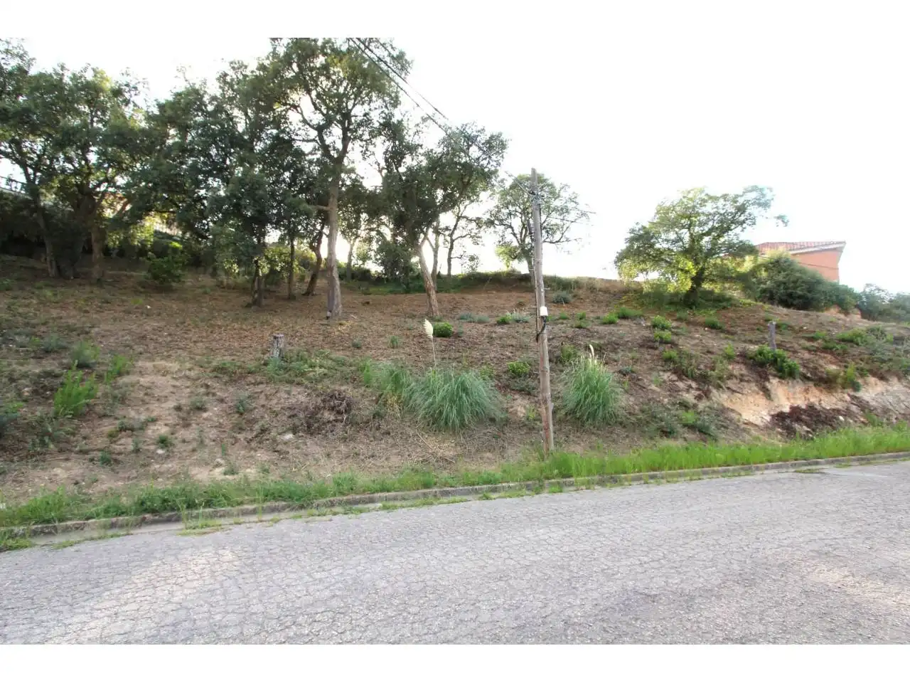 Terreno rustico in vendita a Calle Santa Marta 57, imagen 2
