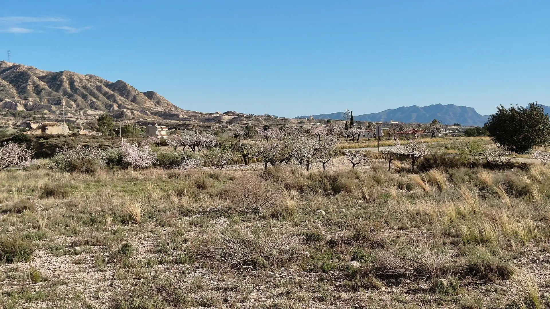 Lands and plots for sale in Abanilla, imagen 4