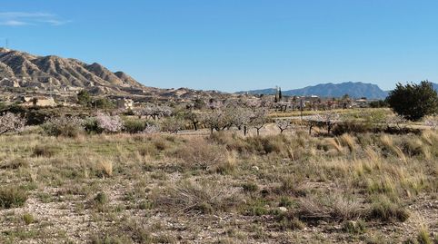 Terreno urbanizable de 3.779 m en El Salado de Mahoya, Abanilla, immagine 4