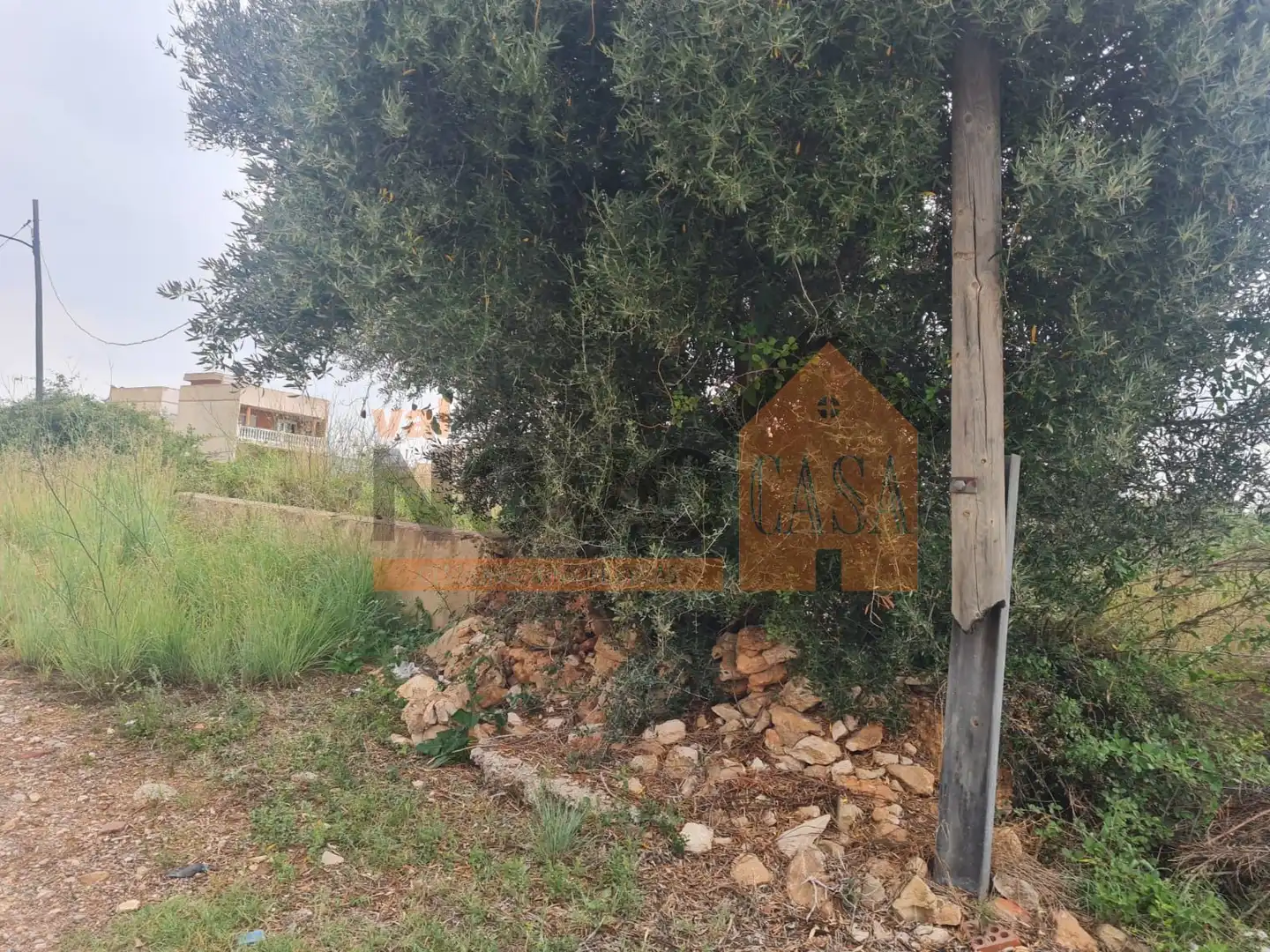 Lands and plots for sale in Albacete, imagen 5