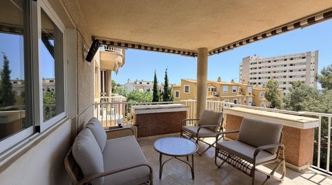 Photo 2 of Apartments for rent in Portals Nous, Calvià