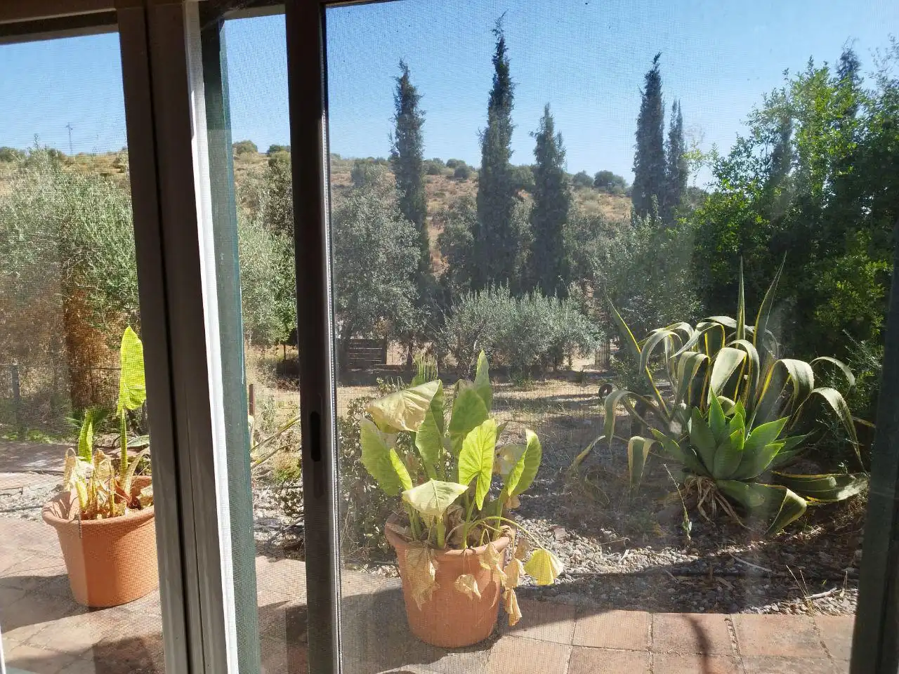 Detached house with garden for sale in El Castillo de las Guardas, imagen 69