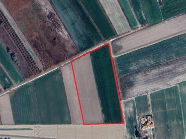 Terreno rustico in vendita a Crevillent