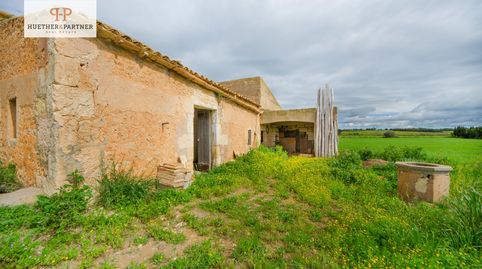 Imatge 1 de l'anunci