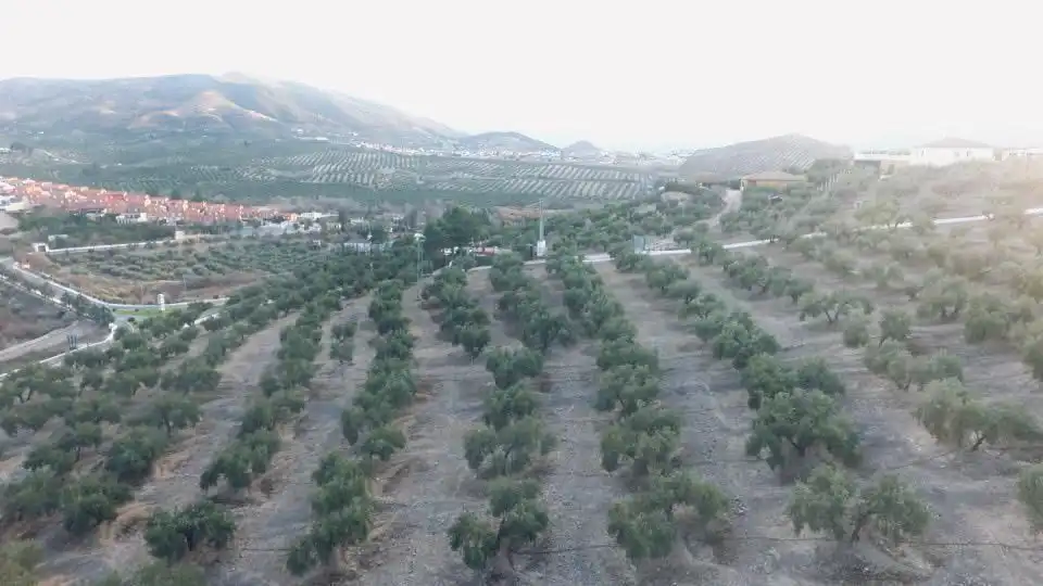 Terreni e lotti in vendita a La Guardia de Jaén, imagen 3