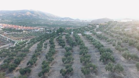 Finca en zona la Yuca, Jaén., imatge 3
