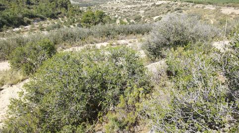 Photo 3 of Country house for sale in Gramenals, Castelldans, Lleida