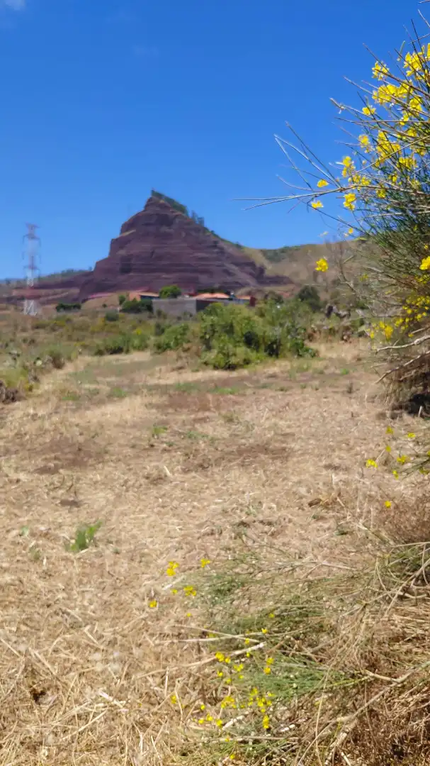Terreny en venda en El Rosario